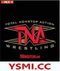 TNA PPV Genesis 2012Ӱ
