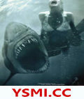 《鲨鱼惊魂夜3D/大白鲨3D》电影封面